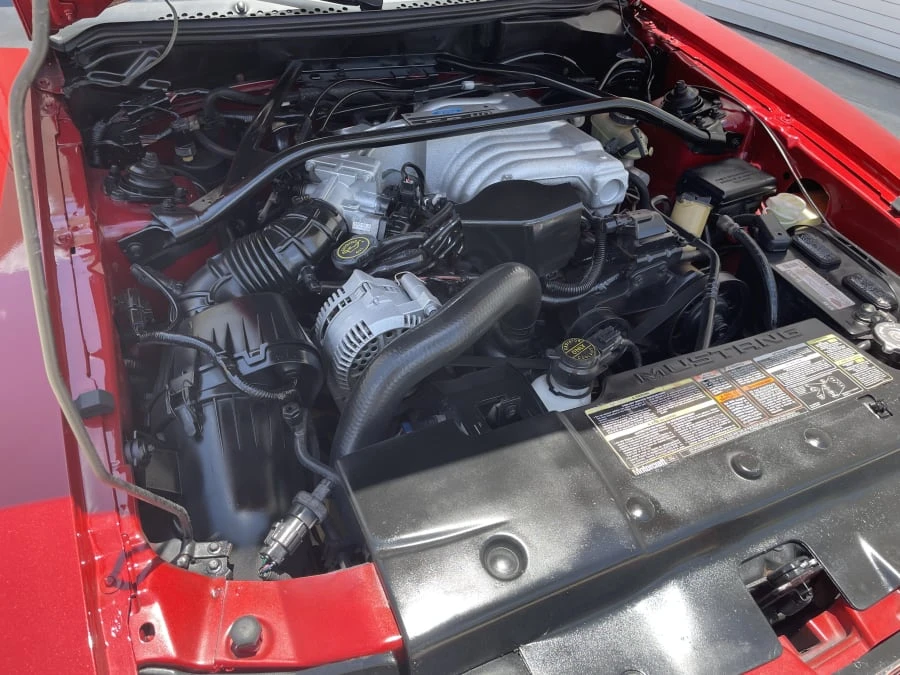1994 Ford SN95 Mustang - Image 18 of 19