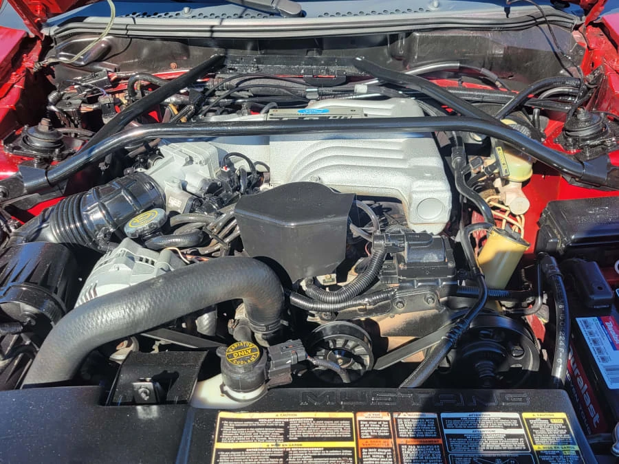 1994 Ford SN95 Mustang - Image 13 of 15