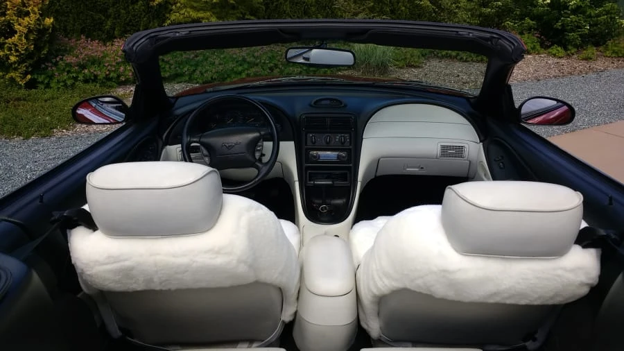 1994 Ford SN95 Mustang - Image 5 of 9
