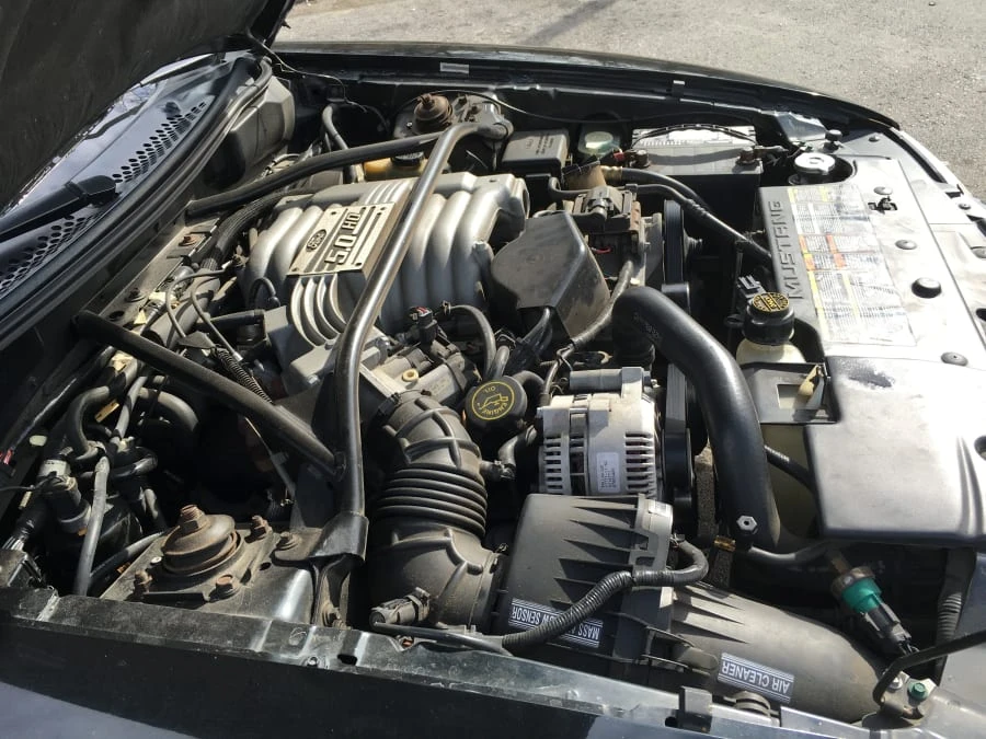 1994 Ford SN95 Mustang - Image 6 of 9