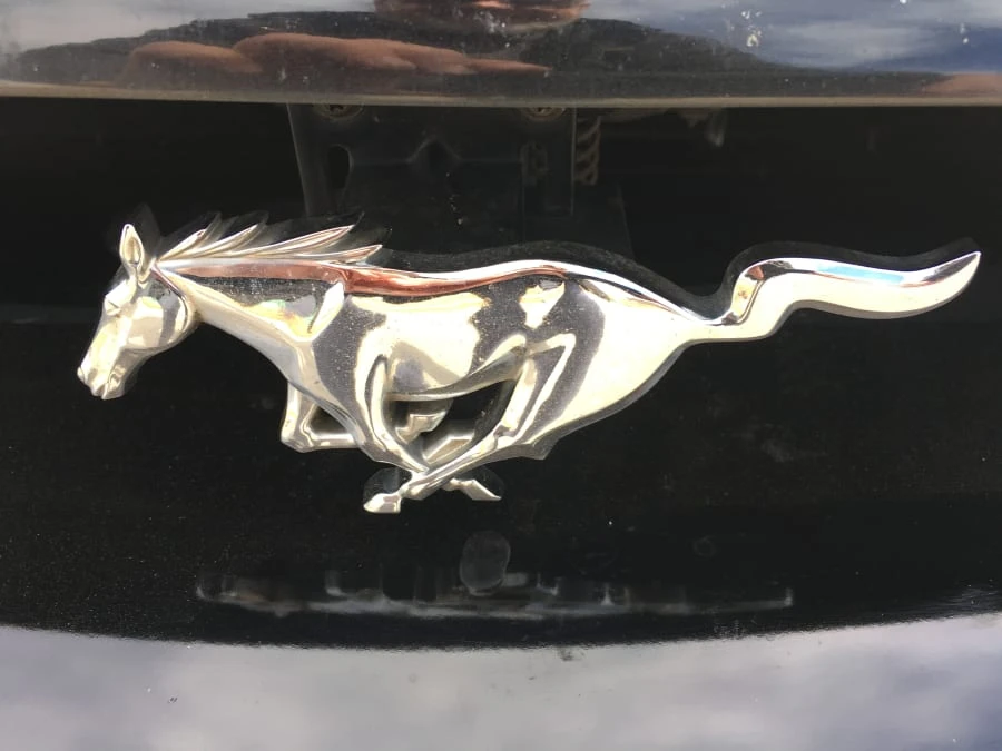 1994 Ford SN95 Mustang - Image 9 of 9