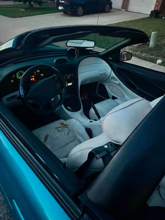 1994 Ford SN95 Mustang - Image 7 of 10
