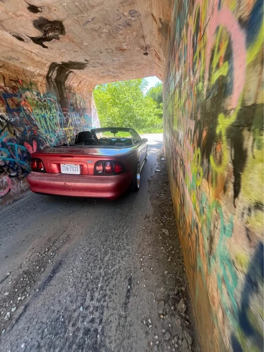 1994 Ford SN95 Mustang - Image 5 of 6