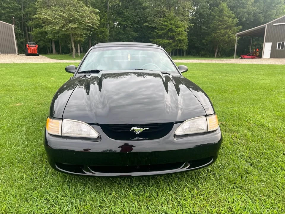 1994 Ford SN95 Mustang - Image 3 of 8
