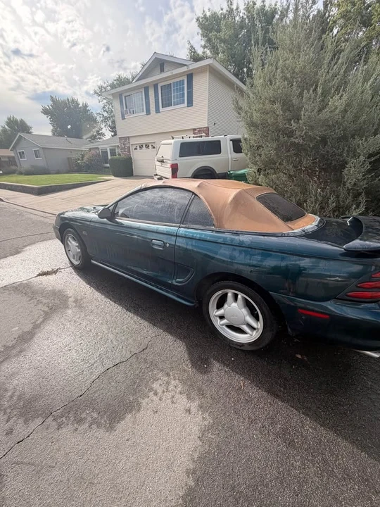 1994 Ford SN95 Mustang - Image 5 of 8