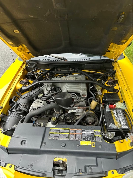 1994 Ford SN95 Mustang - Image 13 of 13