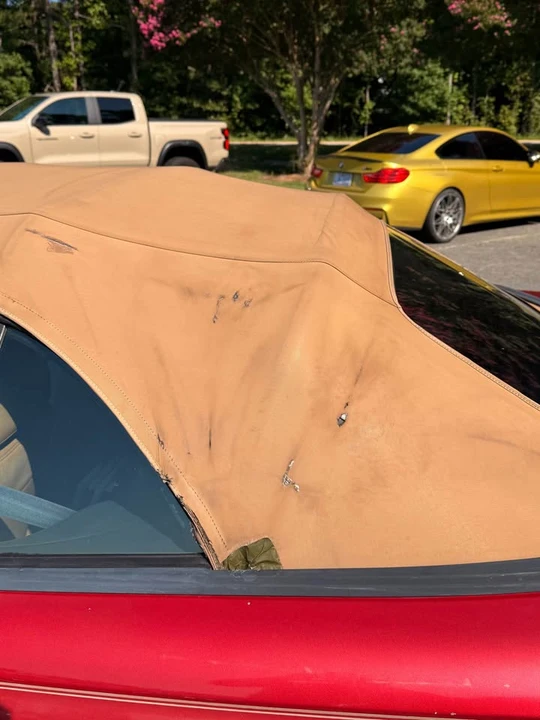 1994 Ford SN95 Mustang - Image 12 of 12
