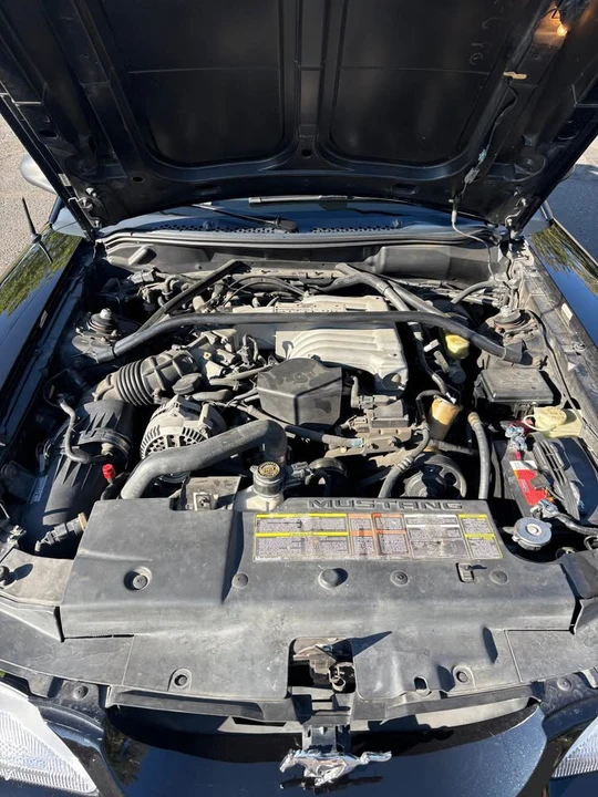 1994 Ford SN95 Mustang - Image 16 of 16