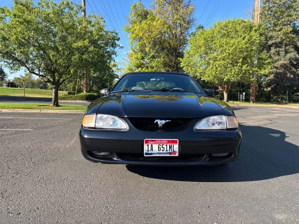 1994 Ford SN95 Mustang - Image 2 of 16