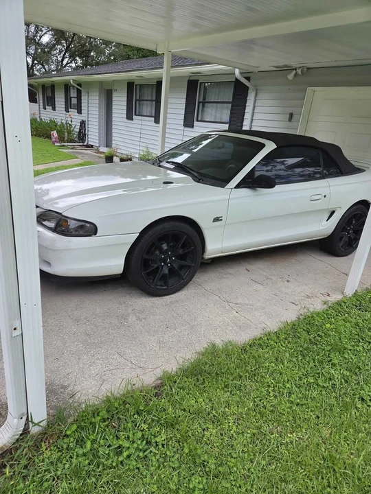1994 Ford SN95 Mustang - Image 4 of 10