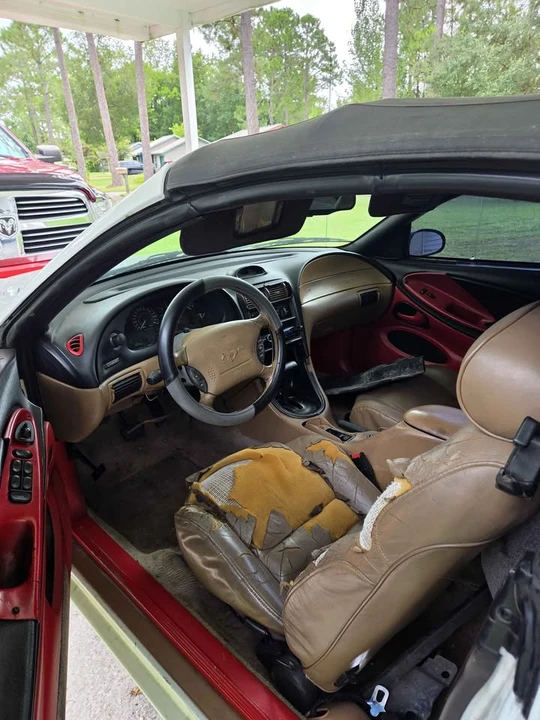 1994 Ford SN95 Mustang - Image 8 of 10
