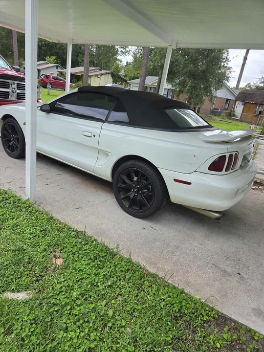1994 Ford SN95 Mustang - Image 5 of 10