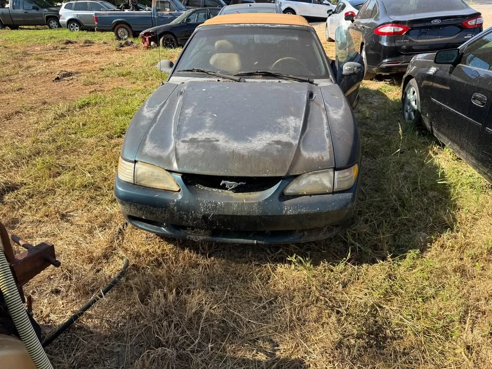 1994 Ford SN95 Mustang - Image 4 of 6