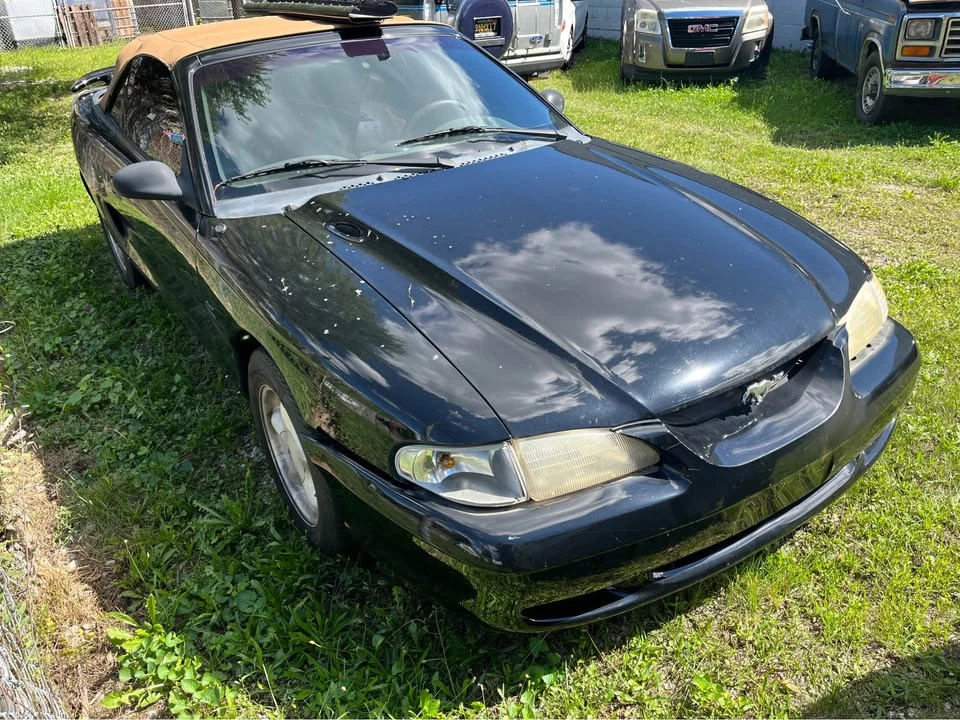 1994 Ford SN95 Mustang - Image 3 of 11