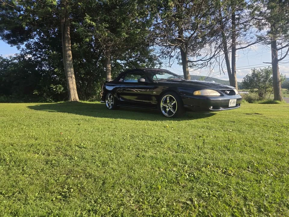 1994 Ford SN95 Mustang - Image 3 of 9