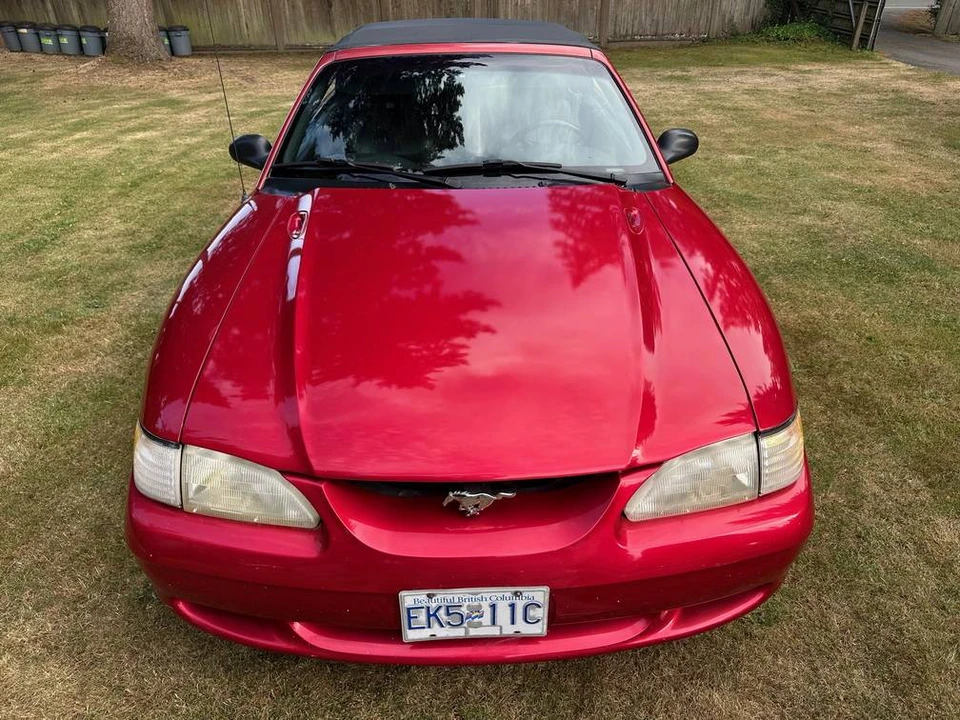 1994 Ford SN95 Mustang - Image 24 of 24