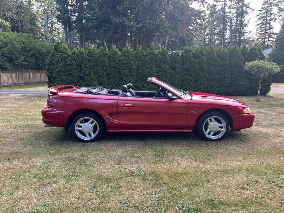 1994 Ford SN95 Mustang - Image 7 of 24