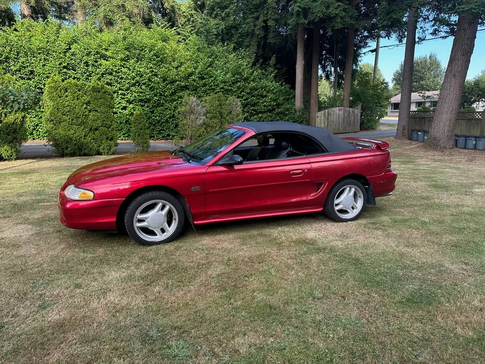 1994 Ford SN95 Mustang - Image 23 of 24