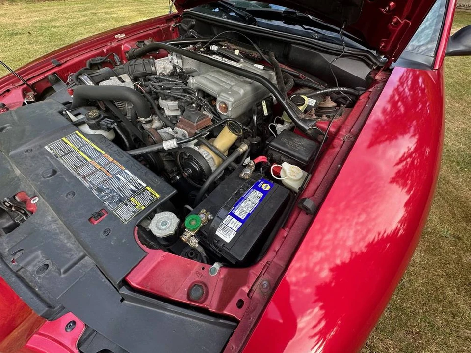 1994 Ford SN95 Mustang - Image 14 of 24