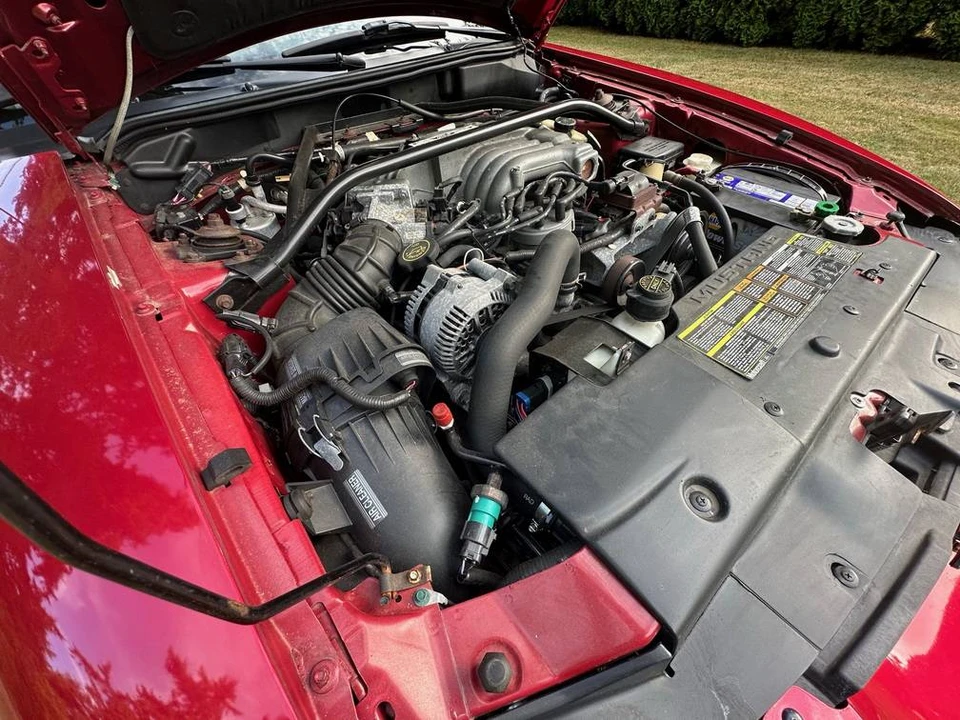 1994 Ford SN95 Mustang - Image 15 of 24