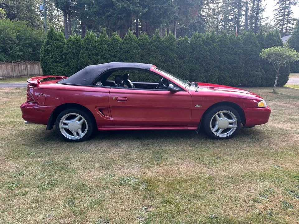 1994 Ford SN95 Mustang - Image 19 of 24