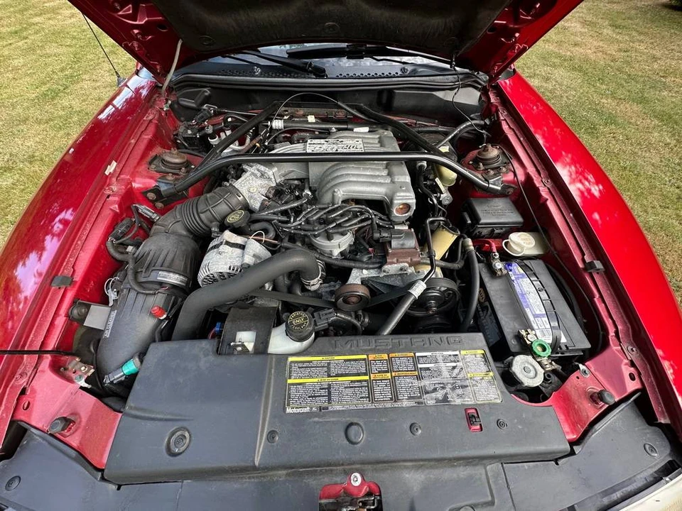 1994 Ford SN95 Mustang - Image 13 of 24