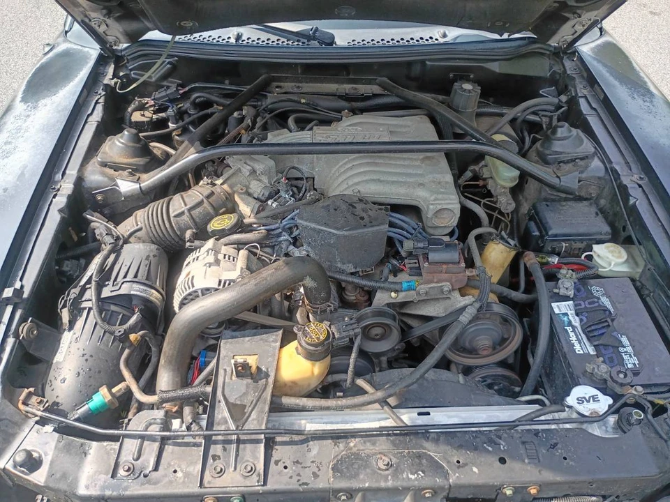 1994 Ford SN95 Mustang - Image 16 of 17