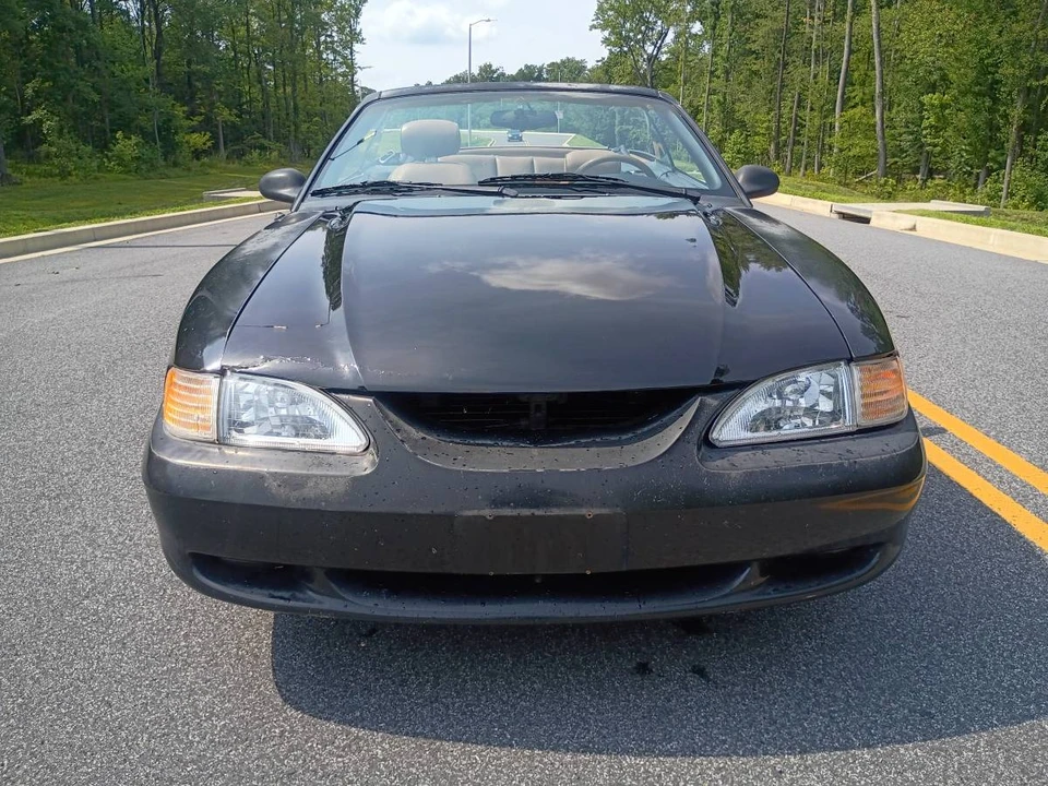 1994 Ford SN95 Mustang - Image 3 of 17