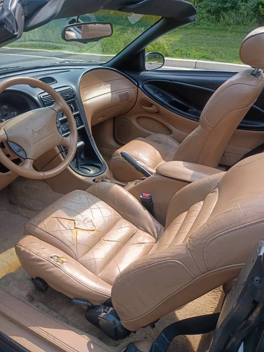 1994 Ford SN95 Mustang - Image 13 of 17