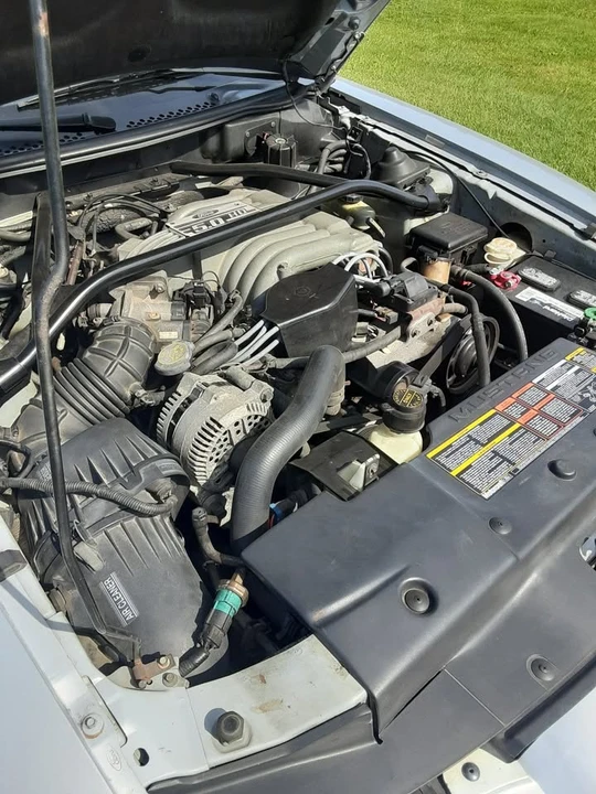 1994 Ford SN95 Mustang - Image 9 of 20