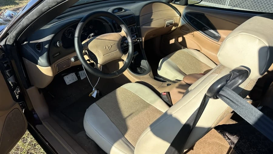 1994 Ford SN95 Mustang - Image 5 of 6