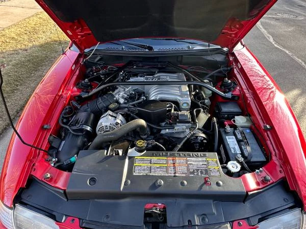 1994 Ford SN95 Mustang - Image 14 of 21