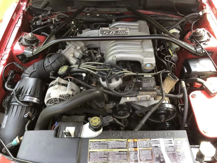 1994 Ford SN95 Mustang - Image 6 of 10