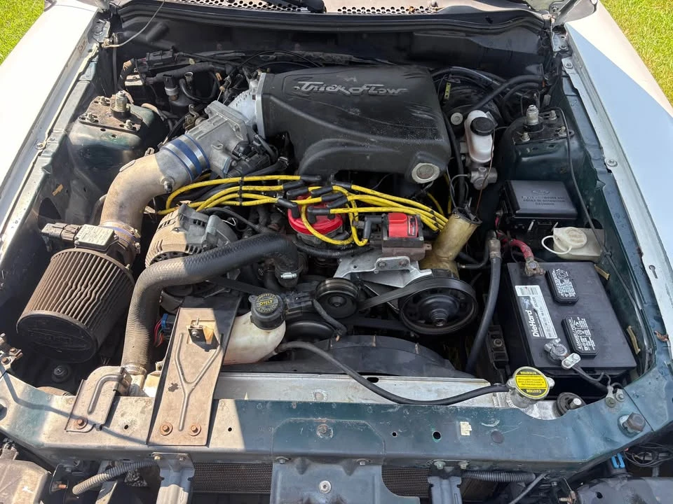1994 Ford SN95 Mustang - Image 15 of 17