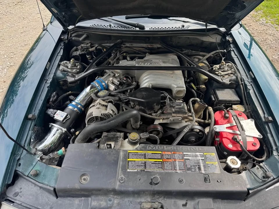 1994 Ford SN95 Mustang - Image 11 of 11