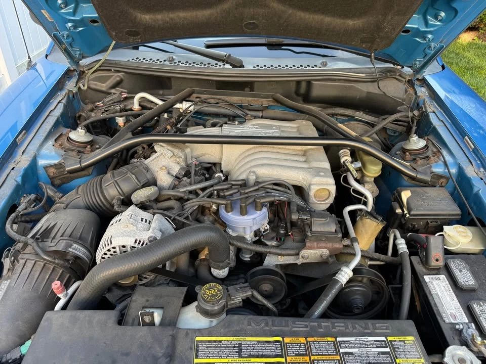 1994 Ford SN95 Mustang - Image 5 of 6