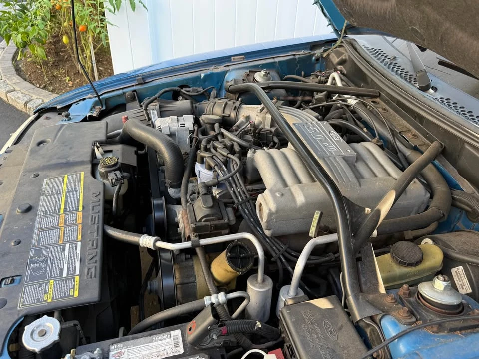 1994 Ford SN95 Mustang - Image 6 of 6