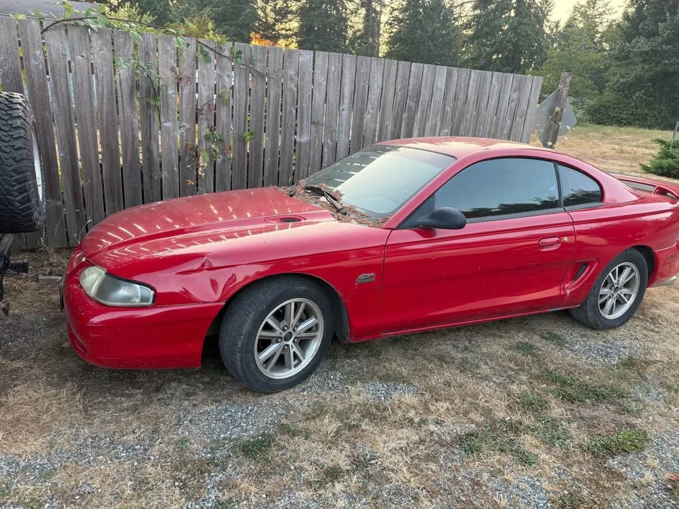 1994 Ford SN95 Mustang - Image 2 of 2