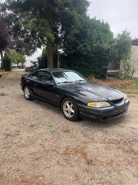 1994 Ford SN95 Mustang - Image 2 of 6
