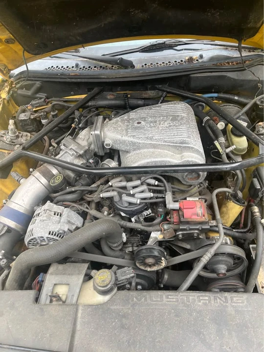 1994 Ford SN95 Mustang - Image 3 of 7