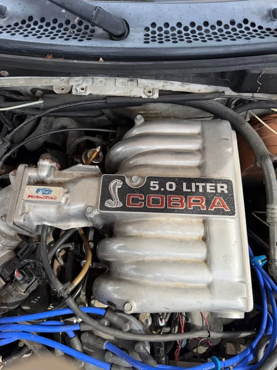 1994 Ford SN95 Mustang - Image 2 of 8