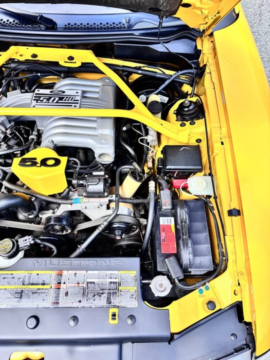 1994 Ford SN95 Mustang - Image 14 of 20