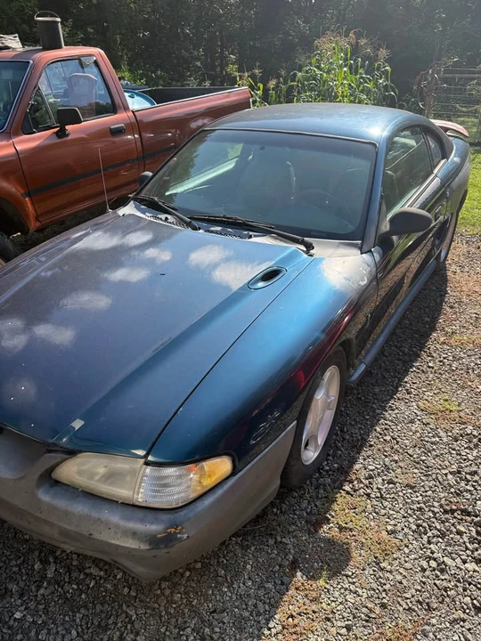 1994 Ford SN95 Mustang - Image 9 of 11