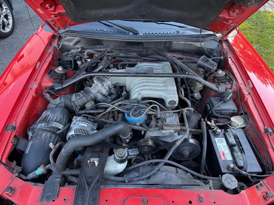 1994 Ford SN95 Mustang - Image 9 of 9