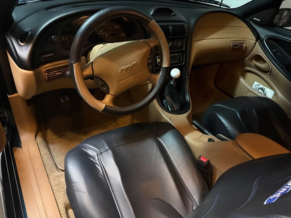 1994 Ford SN95 Mustang - Image 15 of 20