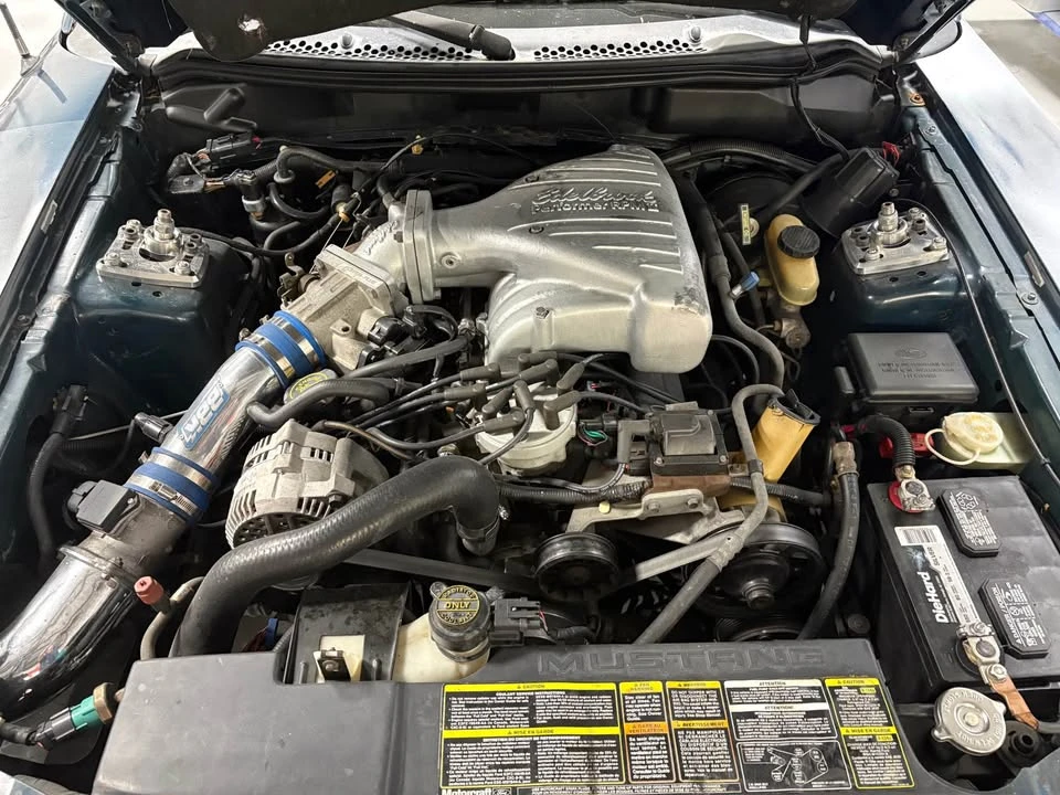 1994 Ford SN95 Mustang - Image 15 of 20
