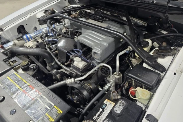 1994 Ford SN95 Mustang - Image 6 of 7