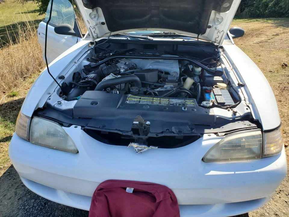 1994 Ford SN95 Mustang - Image 6 of 15