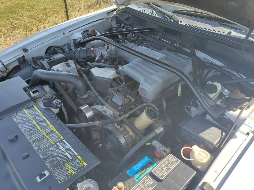 1994 Ford SN95 Mustang - Image 9 of 15