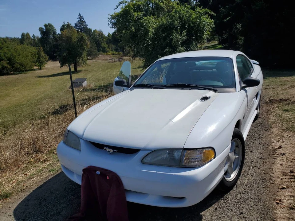 1994 Ford SN95 Mustang - Image 5 of 15